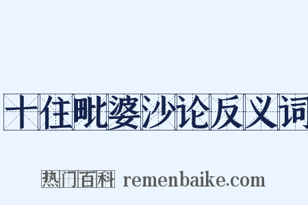 十住毗婆沙论反义词是什么意思的图片